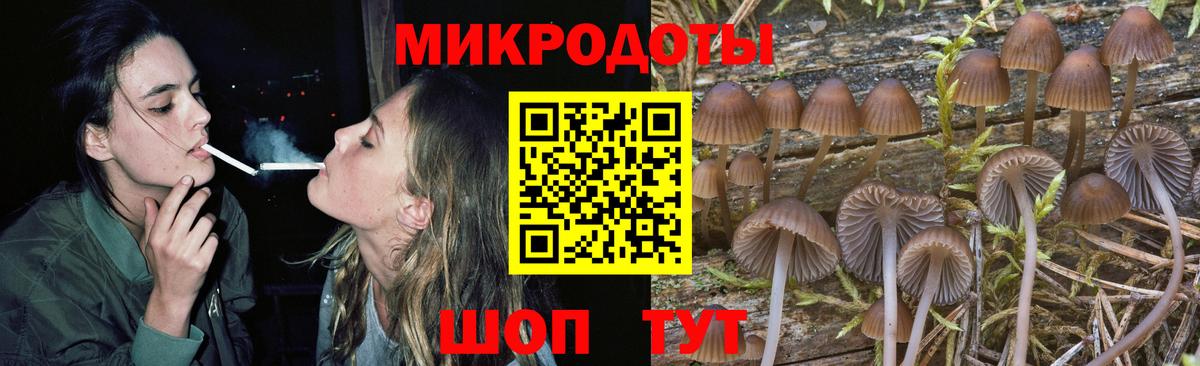 Галлюциногенные грибы Cubensis  Вход с VPN  Ливны  Галлюциногенные грибы мухоморы 